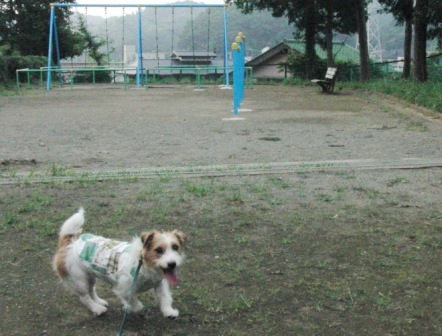 e0078510_22305465.jpg