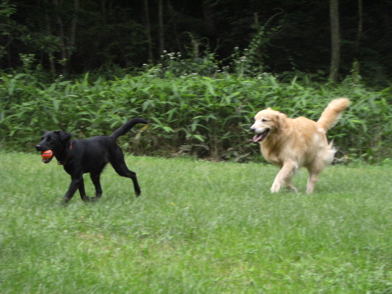 c0029913_14354213.jpg