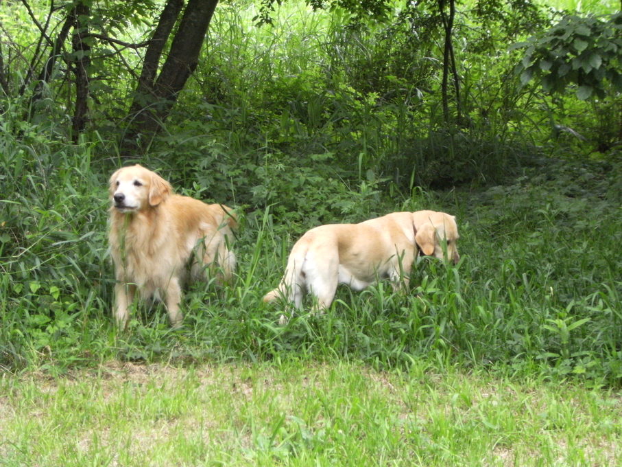 c0029913_1447310.jpg