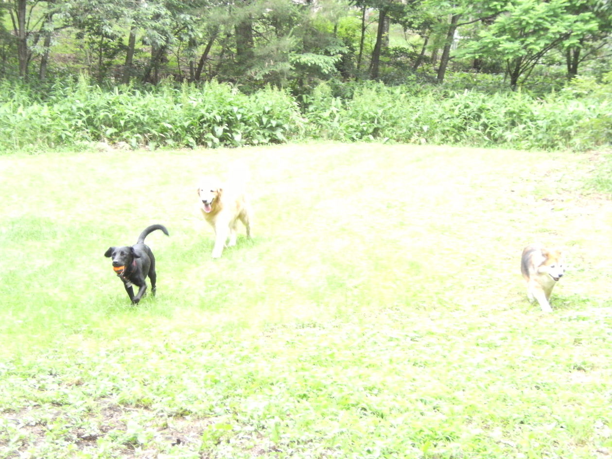c0029913_1455867.jpg