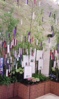 e0009714_17254525.jpg