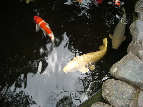 f0153215_9291111.jpg