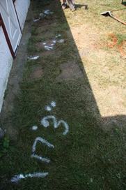 c0202520_4553381.jpg