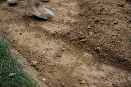 c0202520_573849.jpg