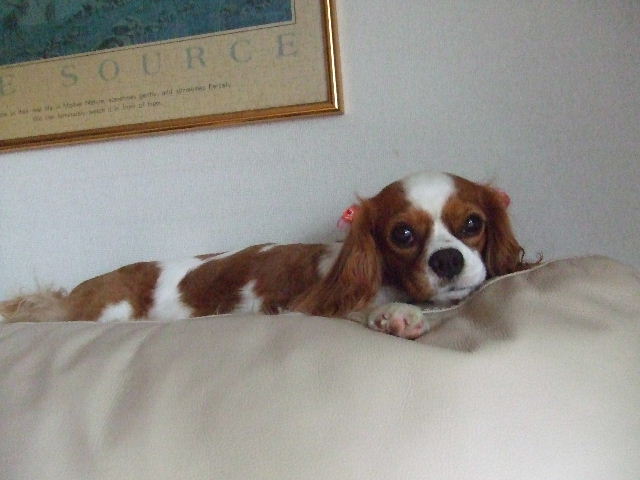f0214121_21372168.jpg