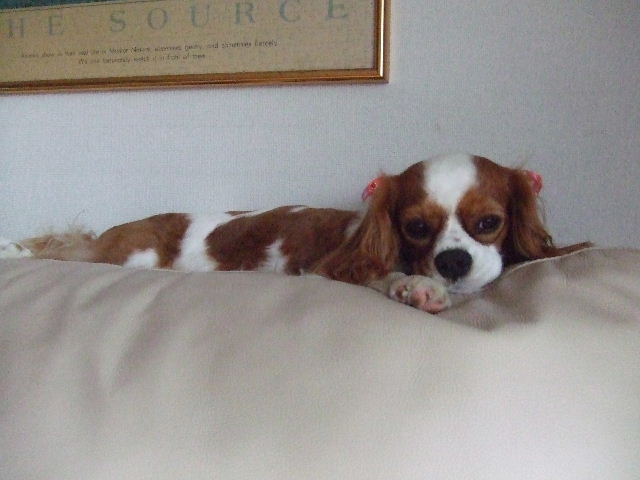 f0214121_21381895.jpg