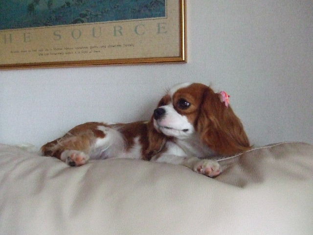 f0214121_21385539.jpg