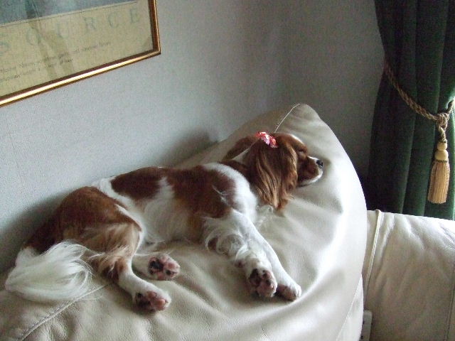f0214121_21393255.jpg