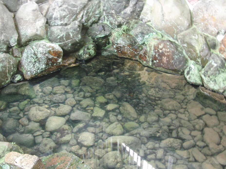 f0111128_211866.jpg