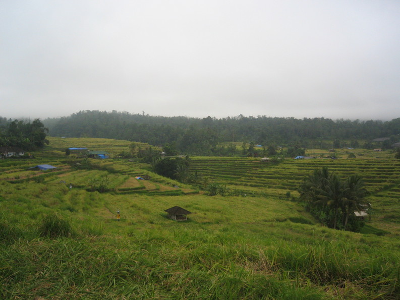 f0162528_10342292.jpg