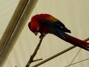 c0197933_751327.jpg
