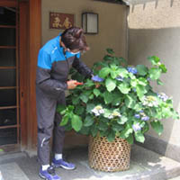 d0033734_2262944.jpg