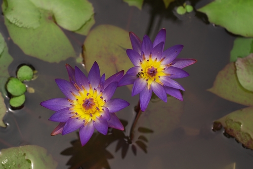 a0034438_15131070.jpg