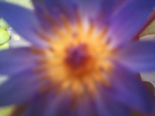 a0034438_1515458.jpg