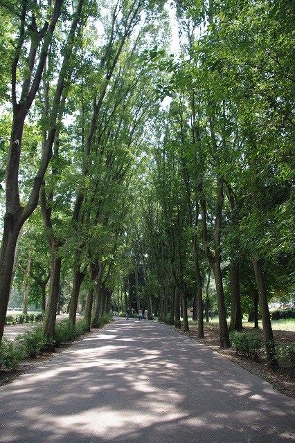 d0092439_20123161.jpg