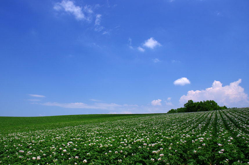 f0152939_5113733.jpg