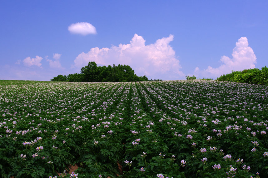 f0152939_5143540.jpg