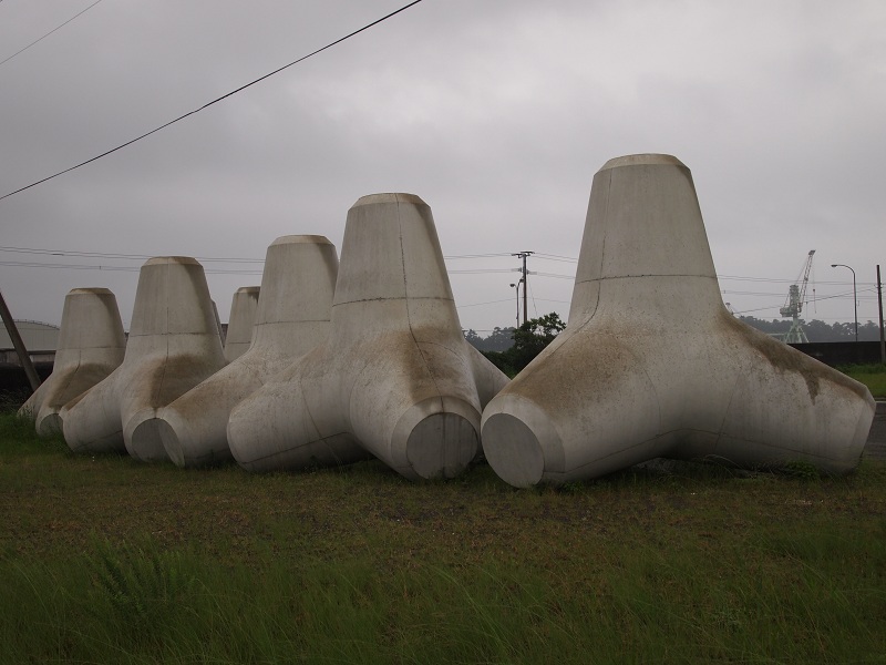 a0146442_7555680.jpg