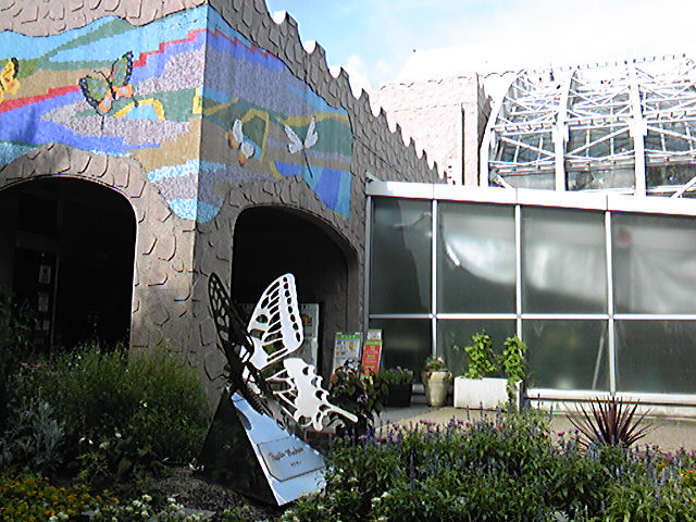 a0118951_1110513.jpg