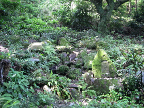 c0179351_17431826.jpg