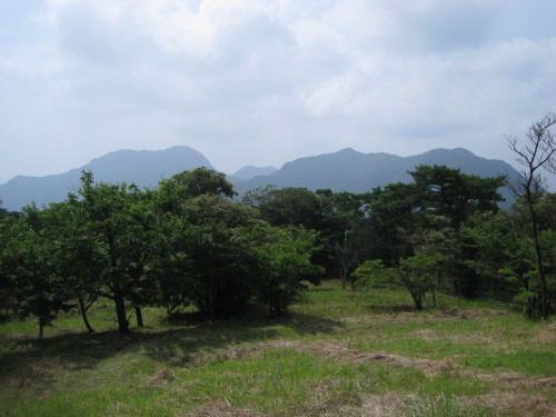 c0179351_1753942.jpg