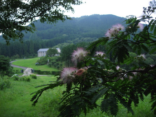 c0179351_1804637.jpg