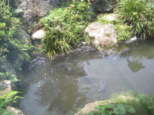 c0179351_181211.jpg