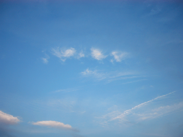 c0225153_0273589.gif