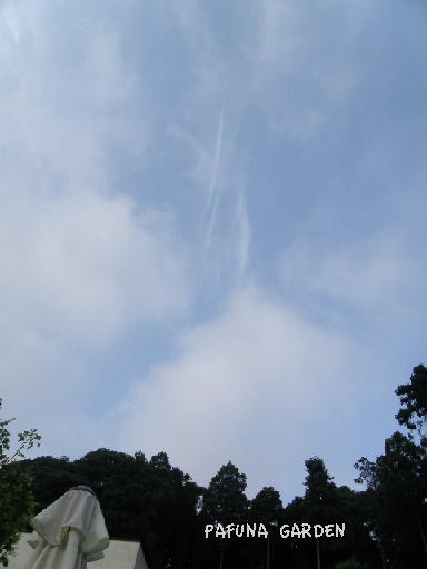e0184558_7141762.jpg