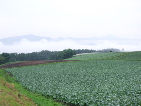 e0088260_23194160.jpg