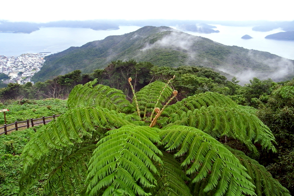 b0062363_20504085.jpg