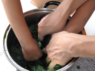 c0162965_335483.jpg