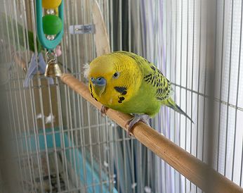 f0196665_0332149.jpg