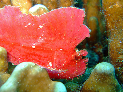 b0033573_2256896.jpg