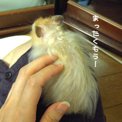 c0160473_10365638.jpg
