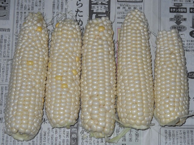 f0018078_19425160.jpg
