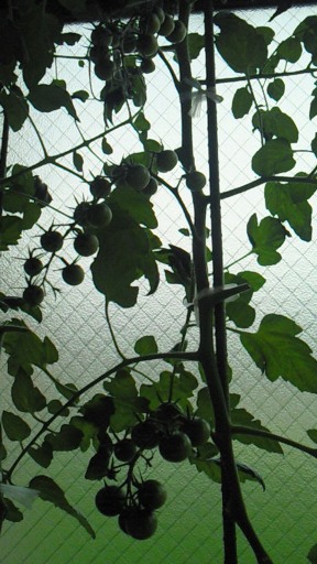 f0116278_1884173.jpg