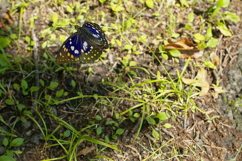 f0090680_22412635.jpg