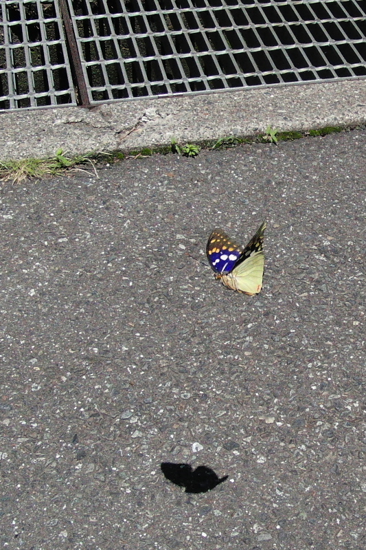 f0090680_22414751.jpg