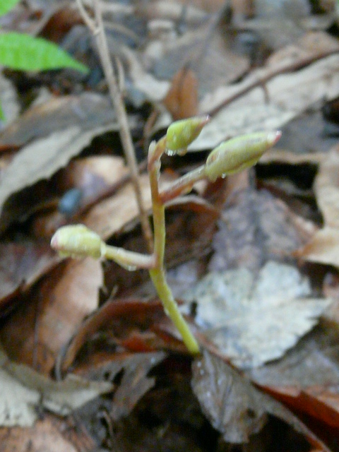 e0145782_17211181.jpg