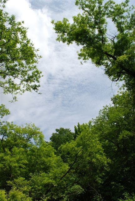 d0164783_07097.jpg