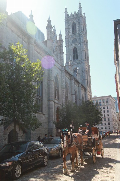 f0238184_1038985.jpg