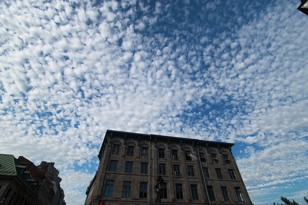 f0238184_1221341.jpg
