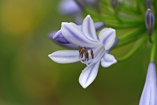 e0190885_21451688.jpg