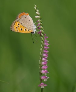 b0108186_15361341.jpg
