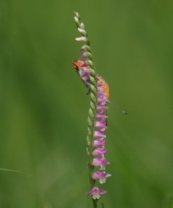 b0108186_15362960.jpg