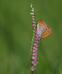 b0108186_15364023.jpg