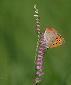 b0108186_15365047.jpg