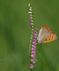 b0108186_1537117.jpg