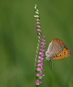 b0108186_15371520.jpg